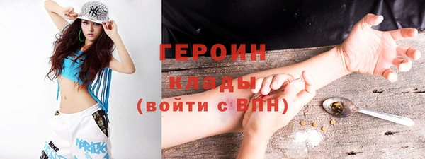 PSILOCYBIN Ельня