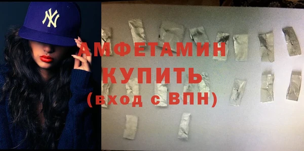 PSILOCYBIN Ельня