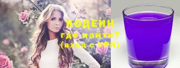 PSILOCYBIN Ельня