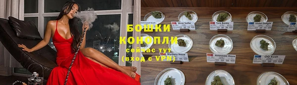 PSILOCYBIN Ельня
