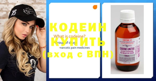 мдпв Елизово