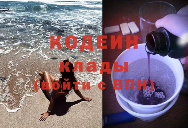 PSILOCYBIN Ельня