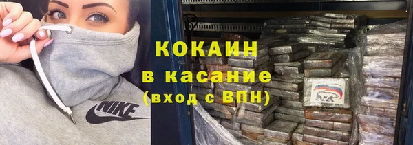 мдпв Елизово