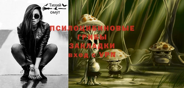 PSILOCYBIN Ельня
