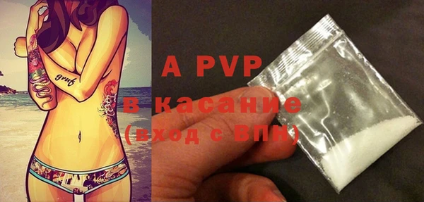 PSILOCYBIN Ельня