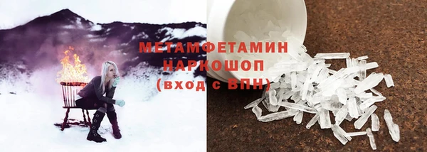 PSILOCYBIN Ельня